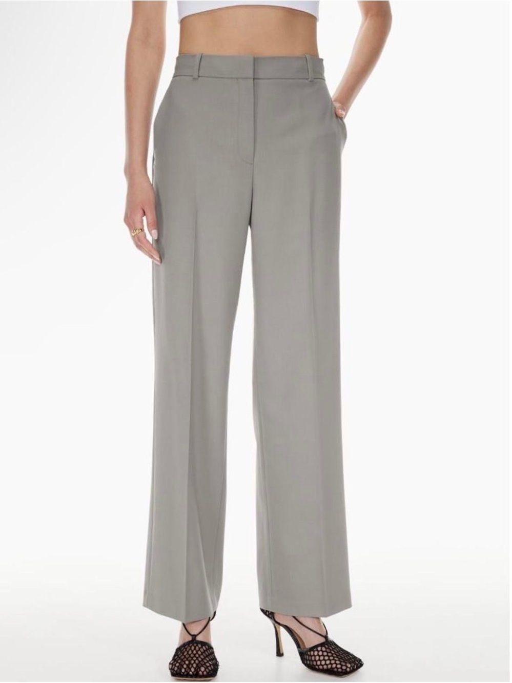 Aritzia Babaton Agency Wide-Leg High-Rise Trousers in Paloma